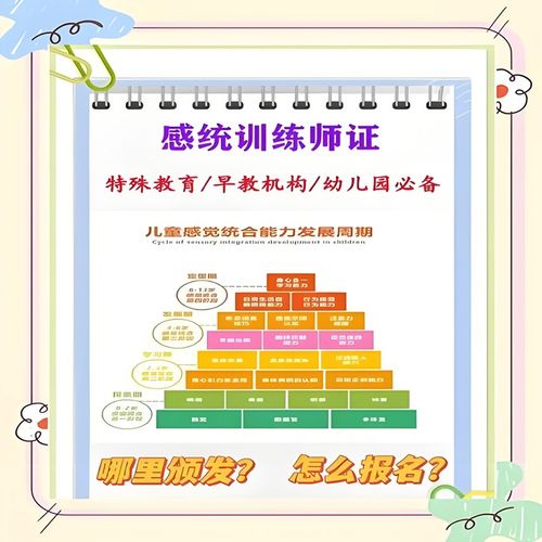 2026年國家承認(rèn)的感統(tǒng)訓(xùn)練師證書與教育信息咨詢指南